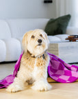 Large Wool Pet Blanket | Plum Check