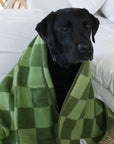 Large Wool Pet Blanket | Olive Green Check