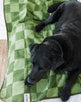 Large Wool Pet Blanket | Olive Green Check