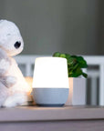 Duet White Noise Machine with Night Light and Wireless Speaker