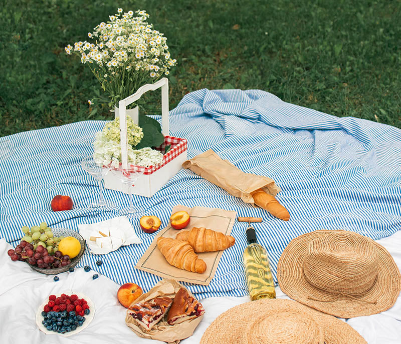 What Kind of Blanket Do You Use For a Picnic?