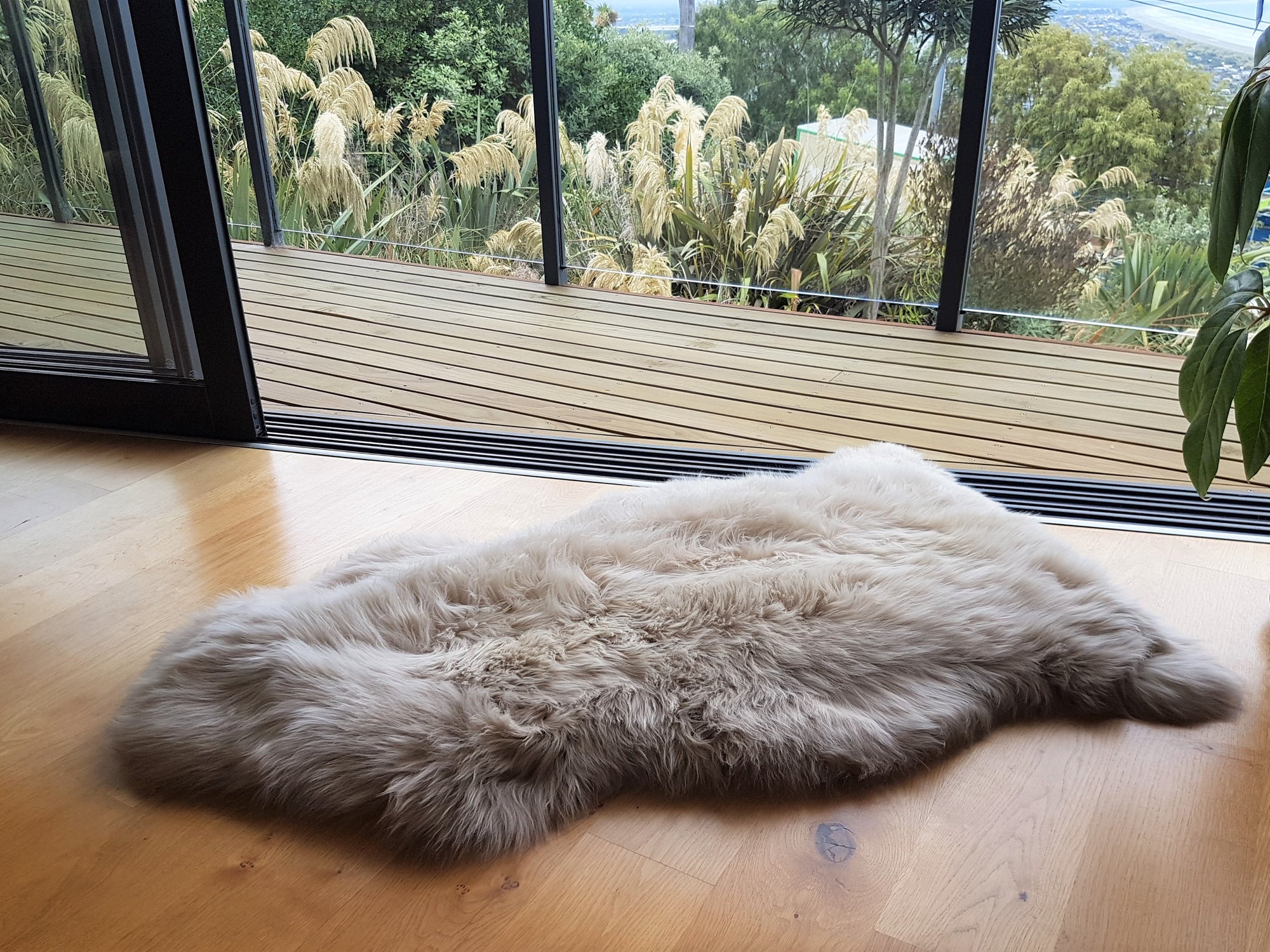 Auskin - Sheepskin Rugs