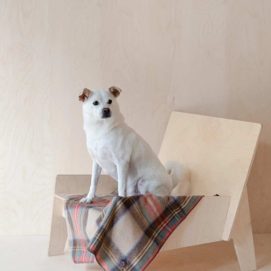 Recycled Wool Small Pet Blanket | Stewart Royal Antique