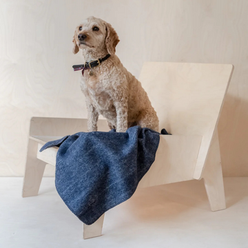 Recycled Wool Small Pet Blanket | Navy Herringbone