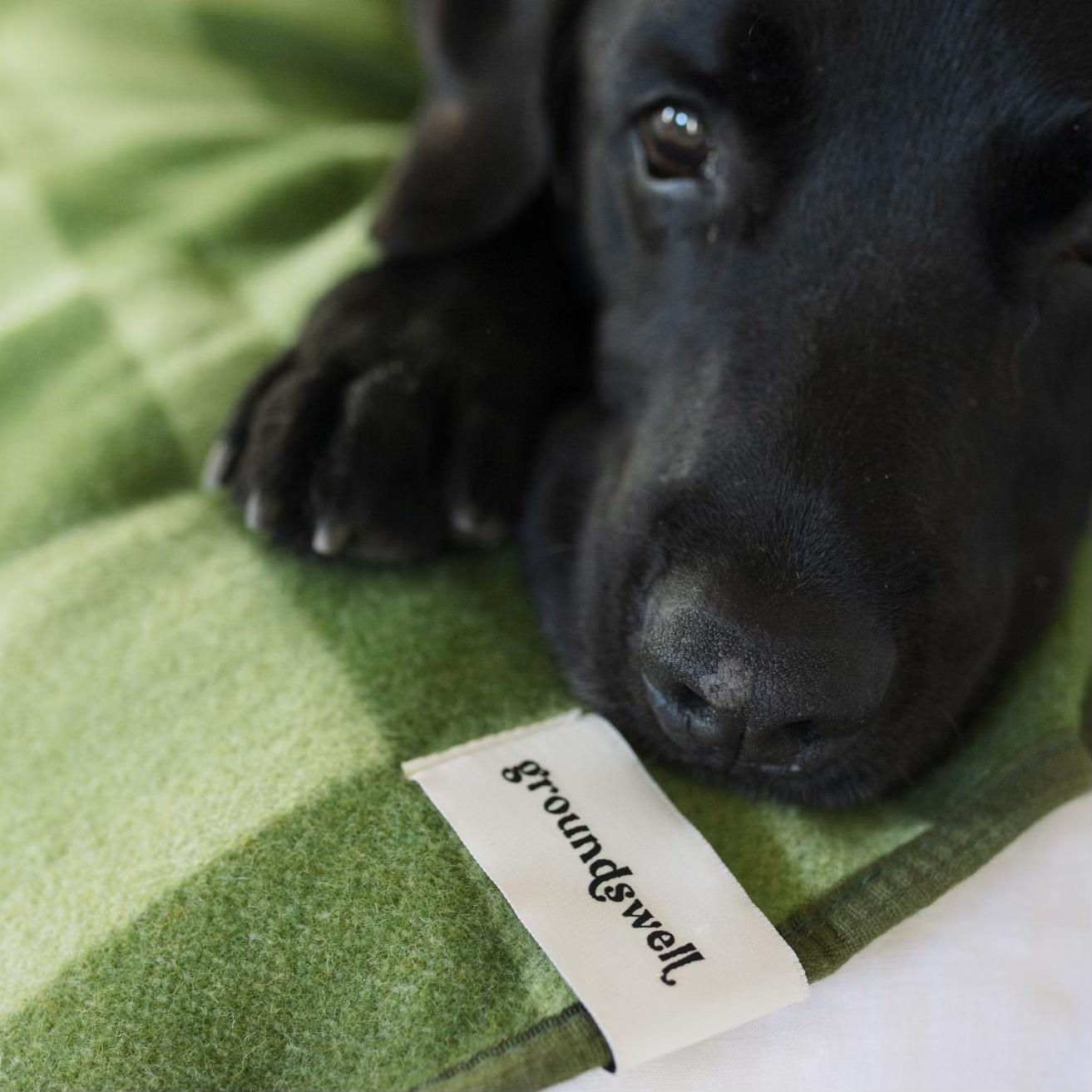 Large Wool Pet Blanket | Olive Green Check