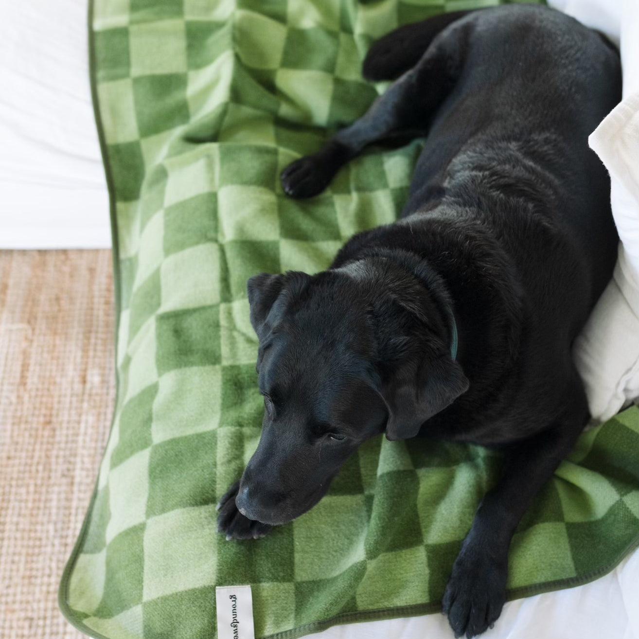 Large Wool Pet Blanket | Olive Green Check