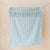 Sage Gingham