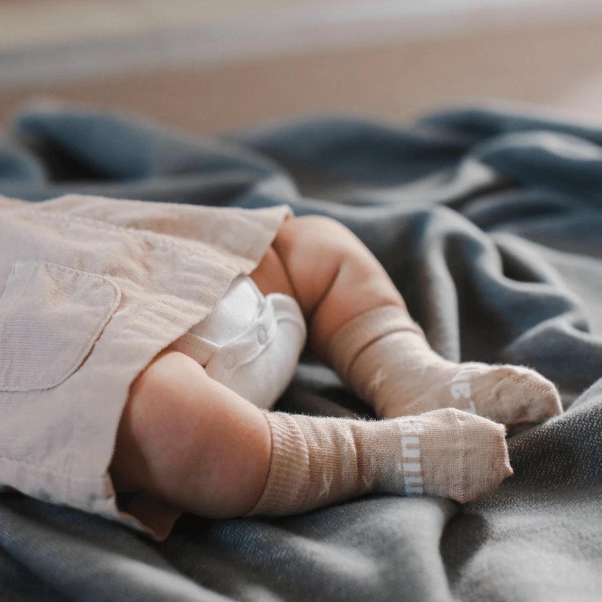 Baby & Kids Crew Socks | Ted - Merino & Me