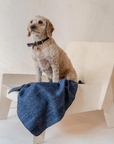 Recycled Wool Small Pet Blanket