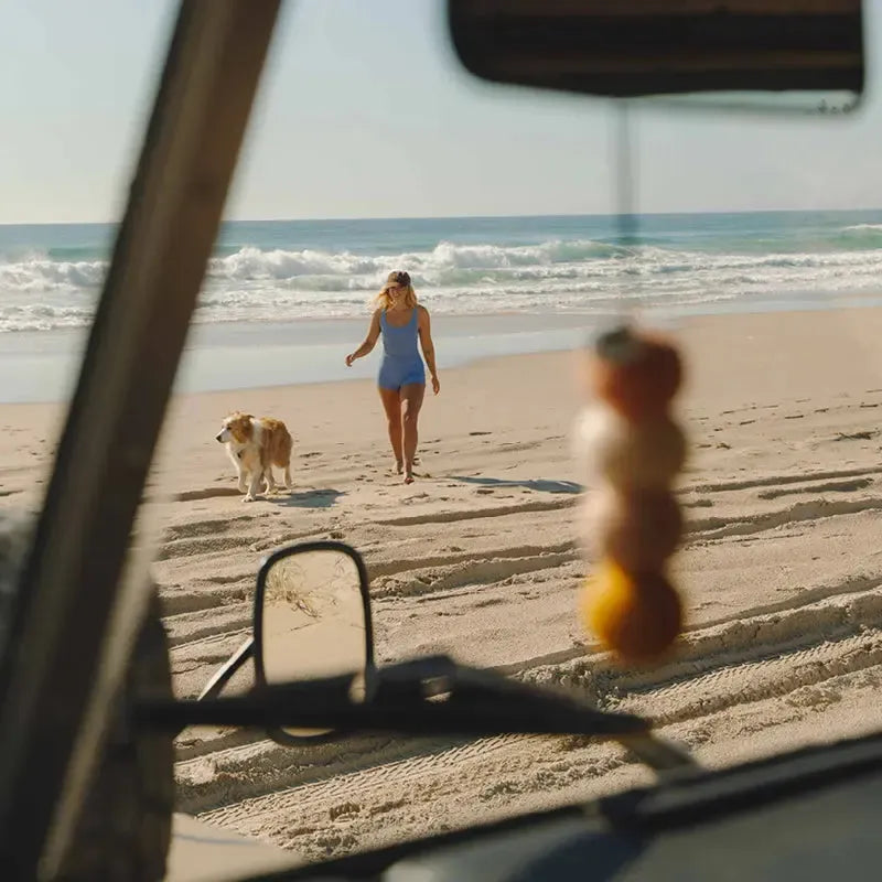 Sun Seeker Smelly Balls | Coconut Lime Fragrance