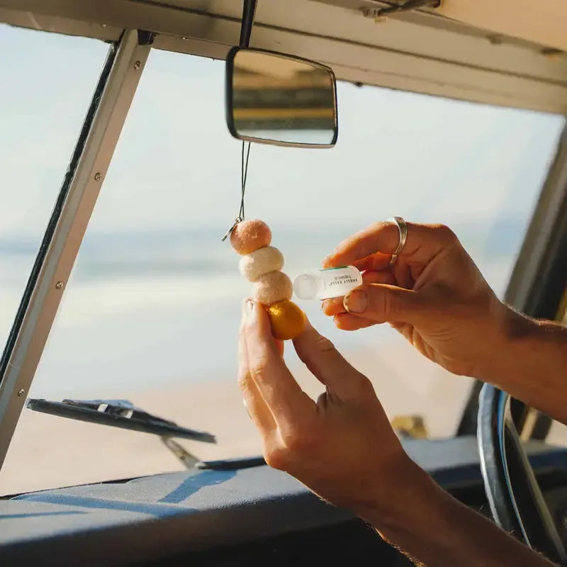 Sun Seeker Smelly Balls | Coconut Lime Fragrance