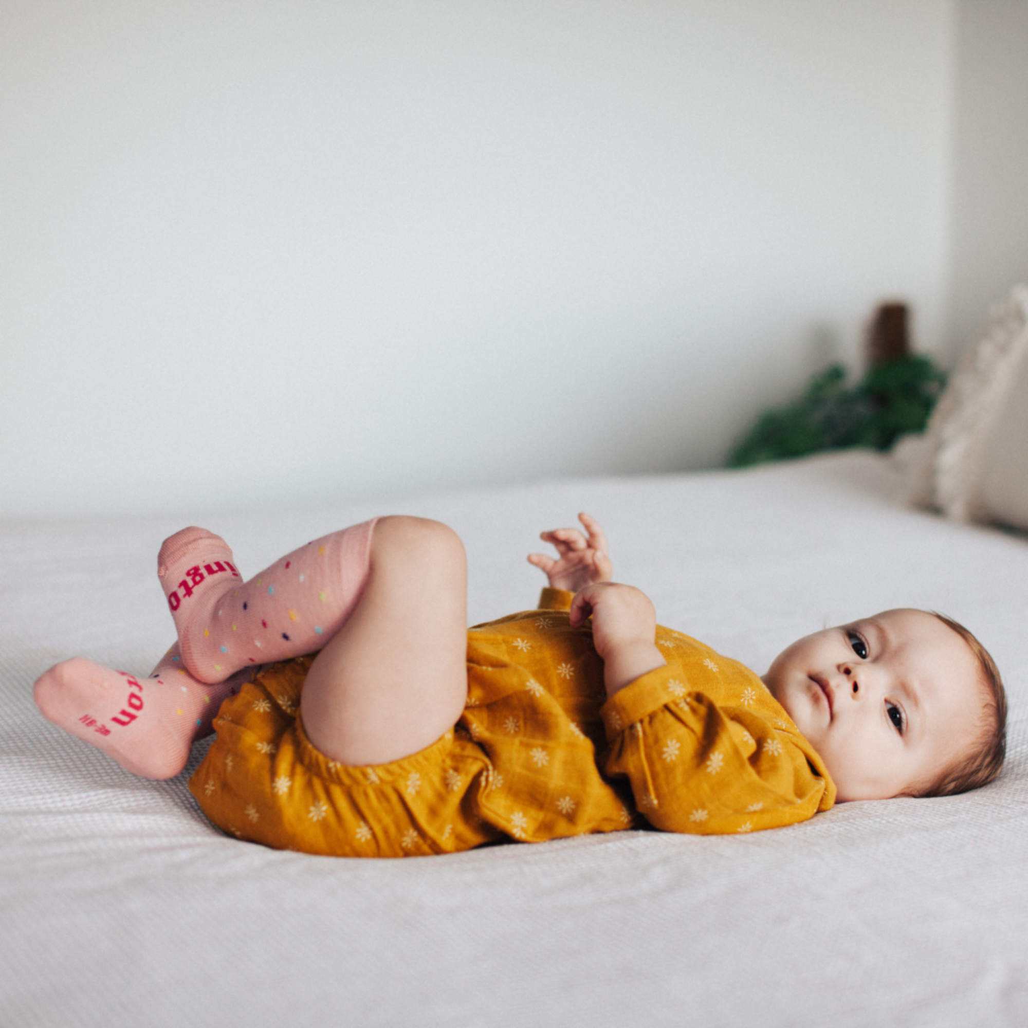 Baby & Kids Knee High Socks | Hundreds & Thousands - Merino & Me