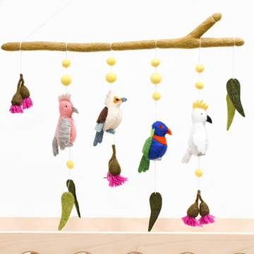Wall Hanging | Australian Birds